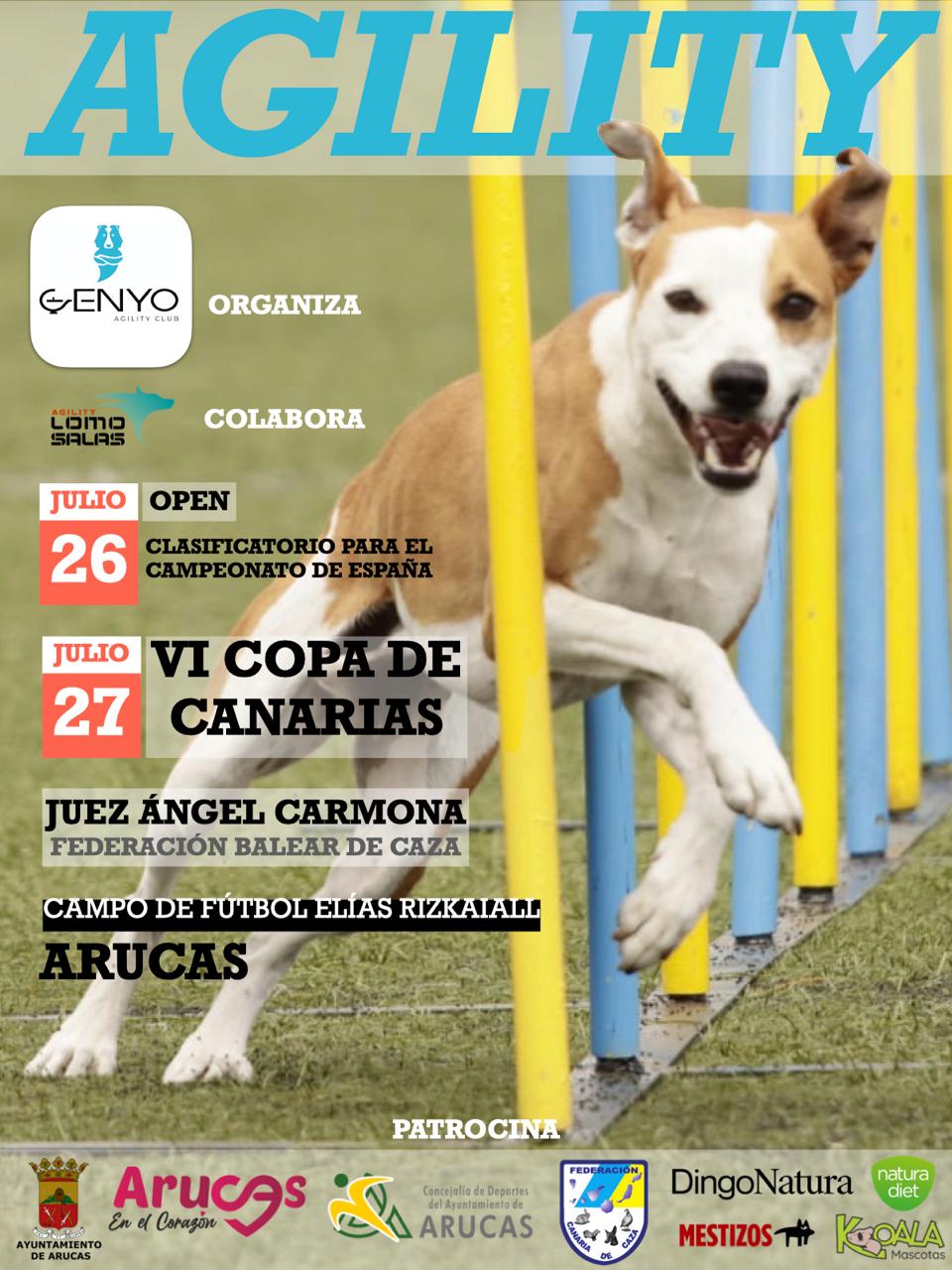 Imagen de AGILITY