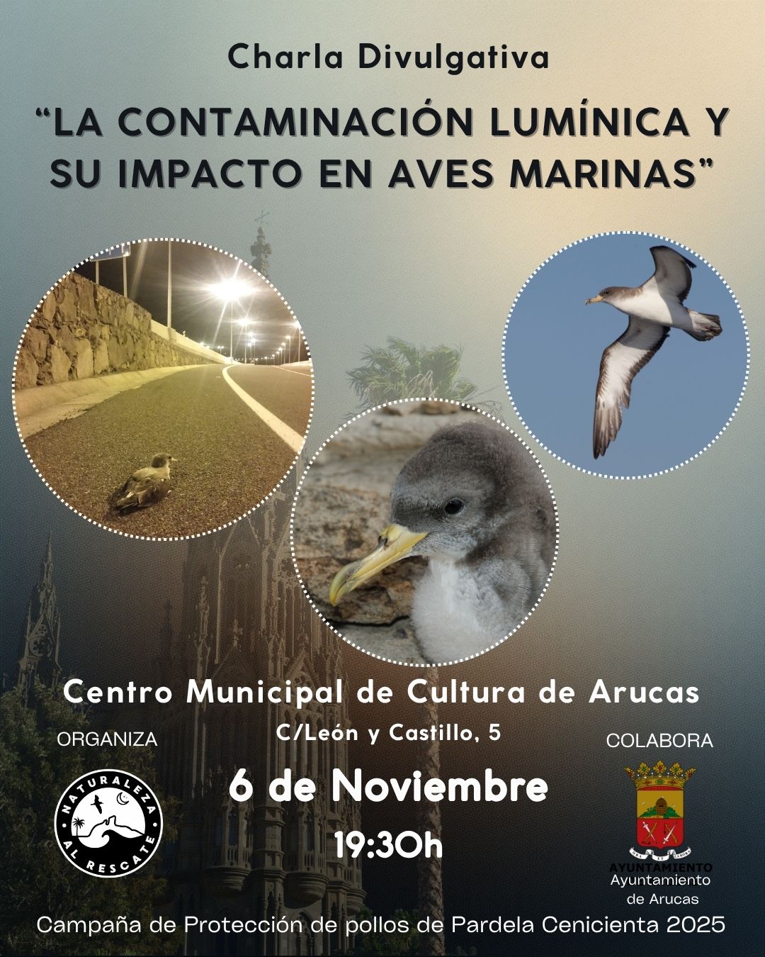 CHARLA DIVULGATIVA ´LA CONTAMINACIÓN LUMÍNICA Y SU IMPACTO EN LAS AVES MARINAS´