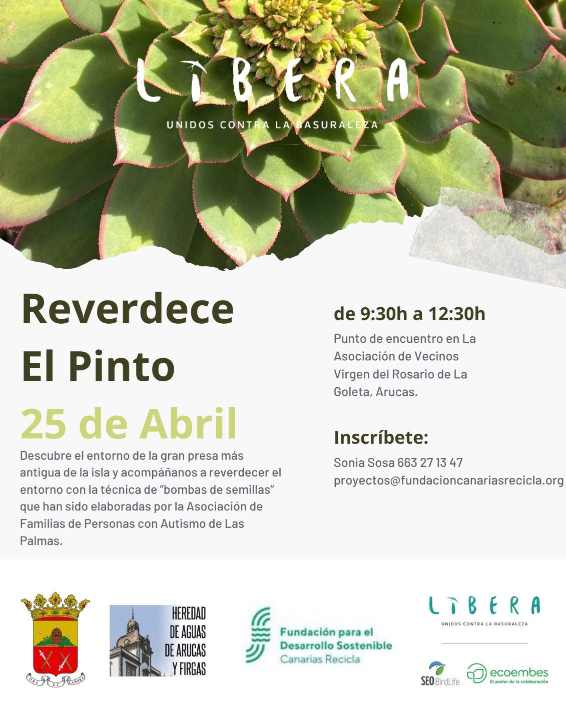 Imagen de REVERDECE EL PINTO