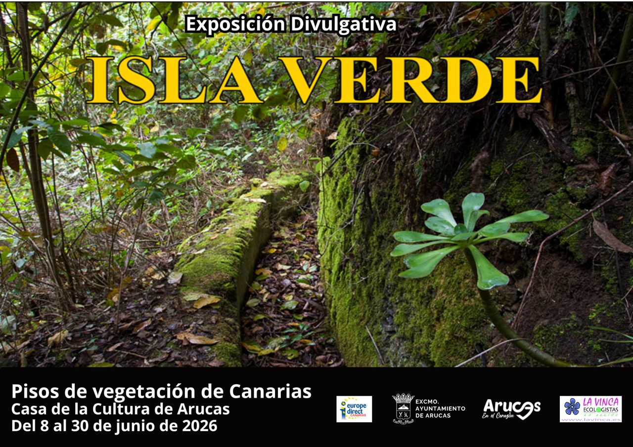 Imagen de EXPOSICIÓN DIVULGATIVA ISLA VERDE