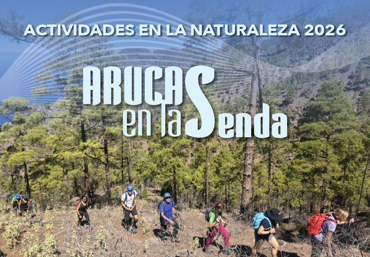 ARUCAS EN LA SENDA 2026