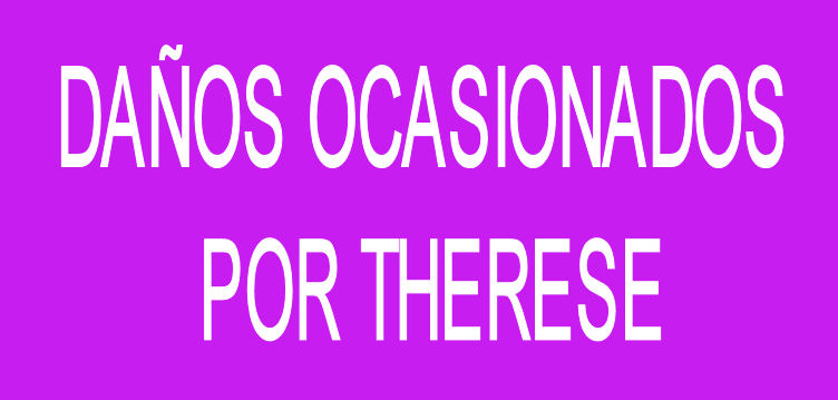 Imagen de Abierto el plazo para solicitar ayudas por los daños ocasio