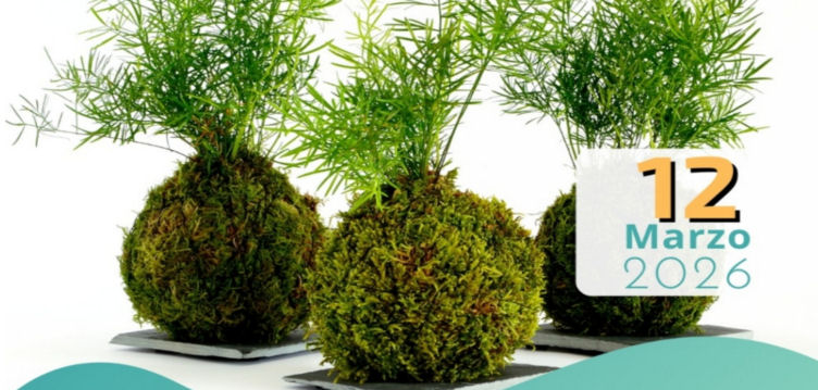 Imagen de Abiertas las preinscripciones para el...